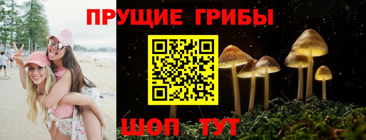 Галлюциногенные грибы GOLDEN TEACHER Вятские Поляны